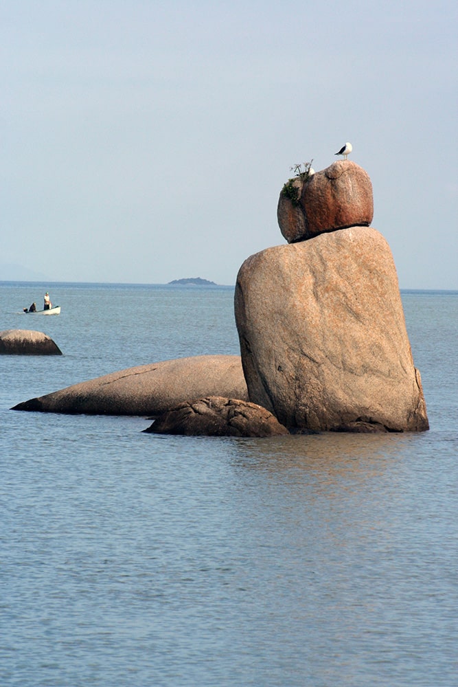 Bruxas da Ilha da Magia - Florianópolis