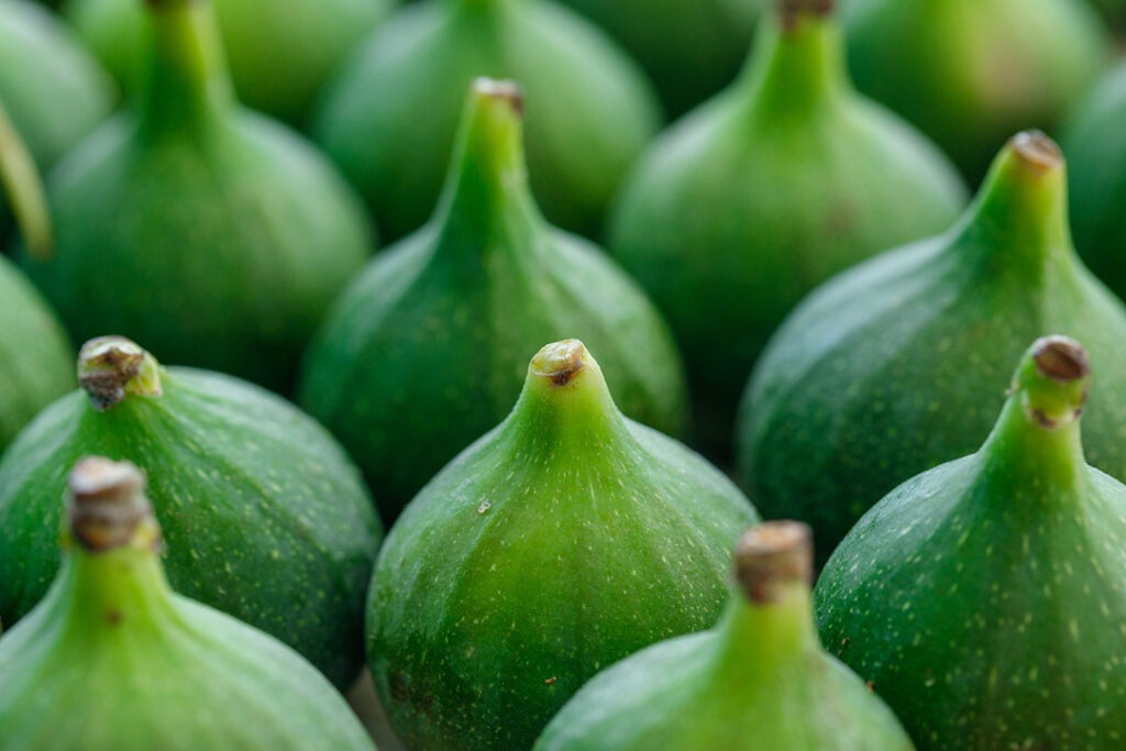 Doce de figo verde em calda como os de antigamente